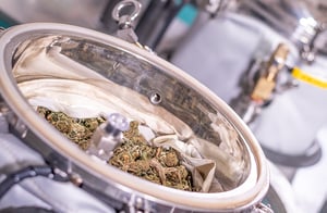 Maximize Cannabis Extraction Yield in Your Lab