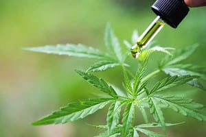 Cannabis-footer-banner-optimized