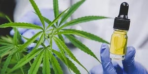 Home-Page-Cannabis-Thumbnail-New